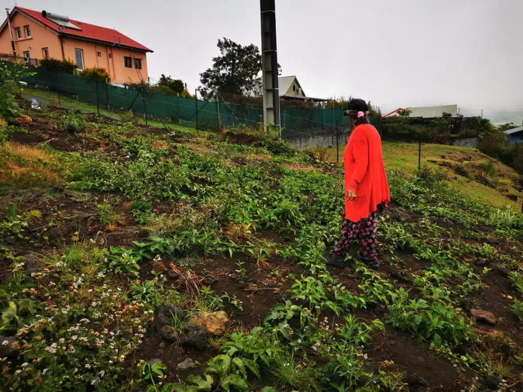 berthe chapelin, maraîchère à la plaine des Palmistes (Photo Essentiel et Strategies)
