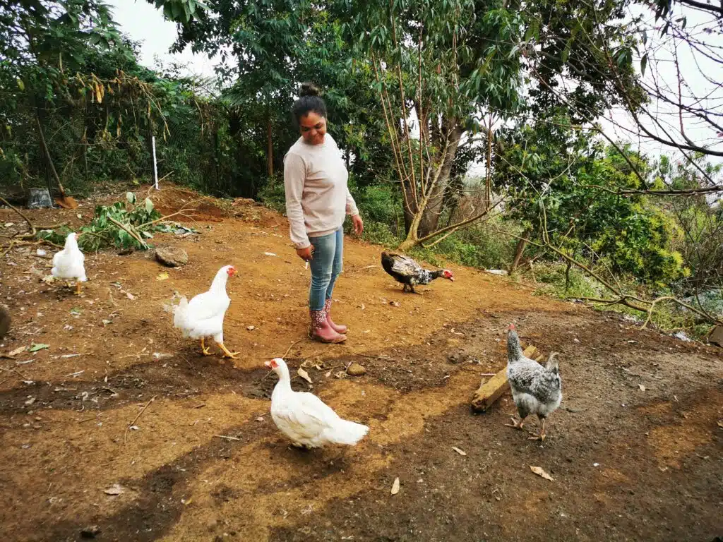 papilles des hauts virginie