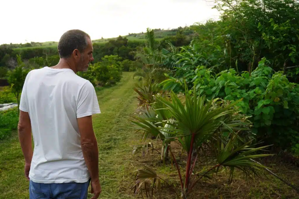 Kako et Stéphane Kenklé, artistes et agriculteurs
