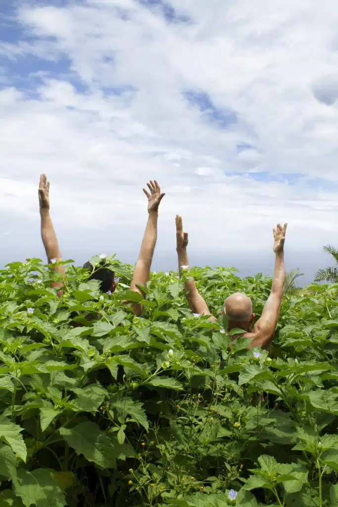Kako et Stéphane Kenklé, artistes et agriculteurs