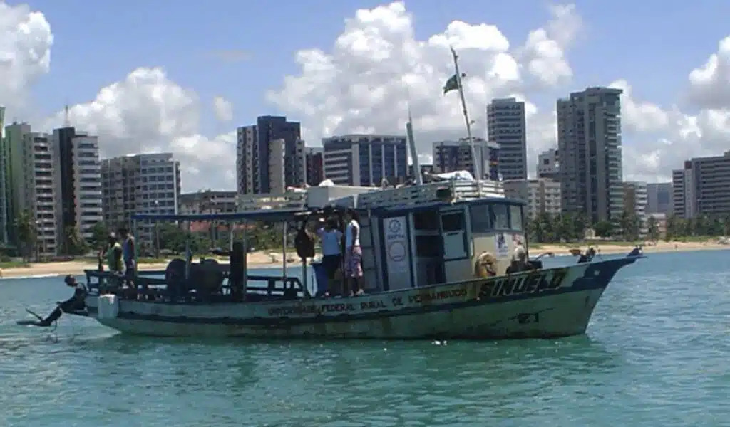 Bateau Sinuelo du Dr Afonso Recife Brésil requins translocation