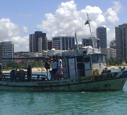Bateau Sinuelo du Dr Afonso Recife Brésil requins translocation