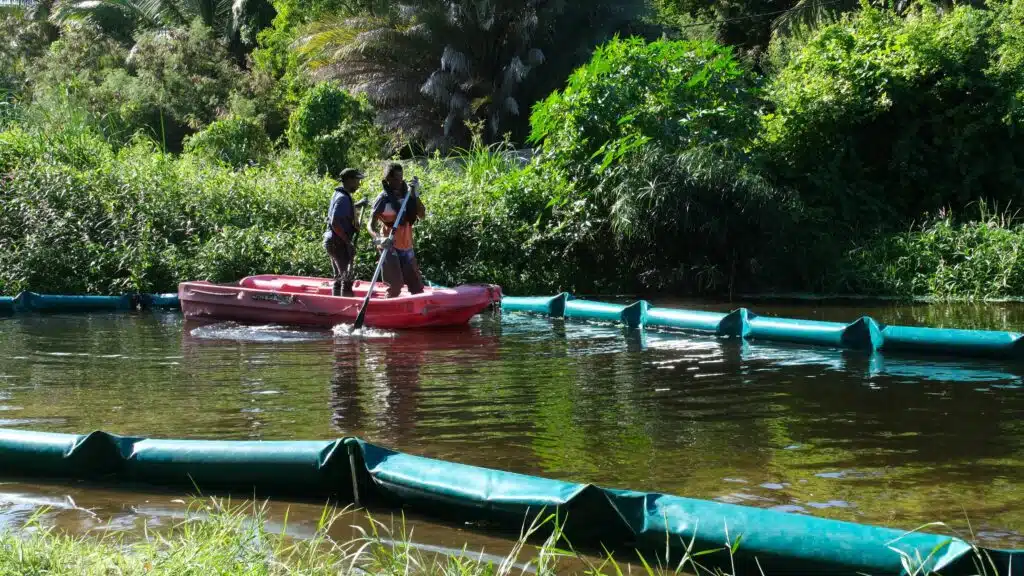 barrage flottant Gemapi lutte contre EEE espèces exotiques envahissantes salade d'eau ravine l'Ermitage TO