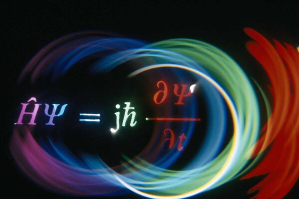 Le « voir » en bio-médecine et/ou l’occultation du « champ » de la physique quantique ? 