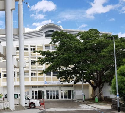 Université de La Réunion
