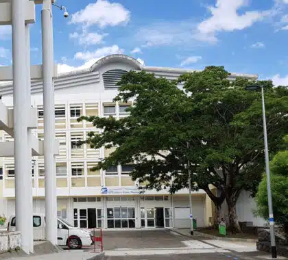 Université de La Réunion