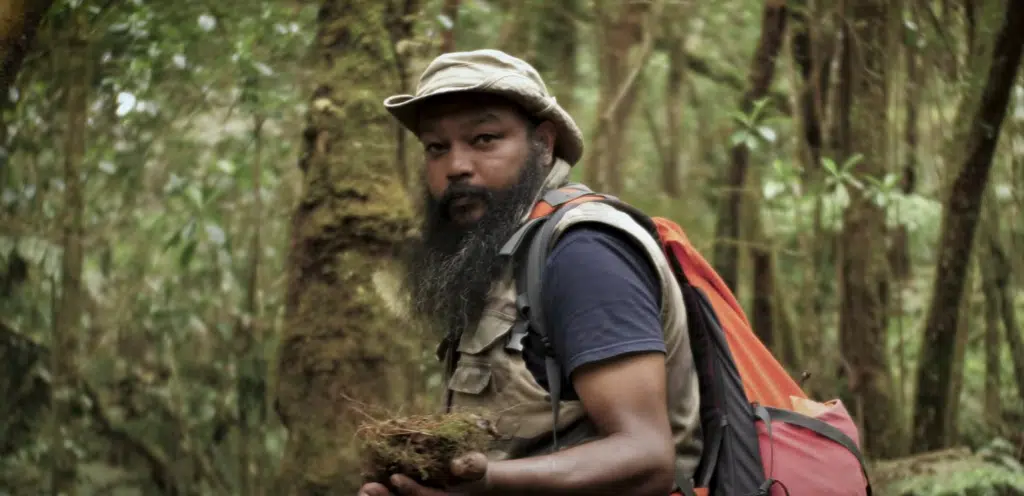 Association Plant'Ali Jo Minatchy