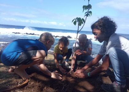 5000 piédbwa grand anse