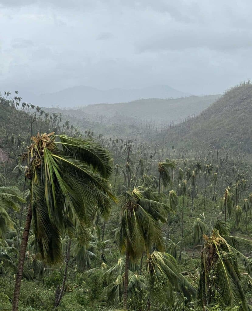 Cyclone Chido à Mayotte, dégâts de Tsingoni. Photo : Tom-Lou Cellier