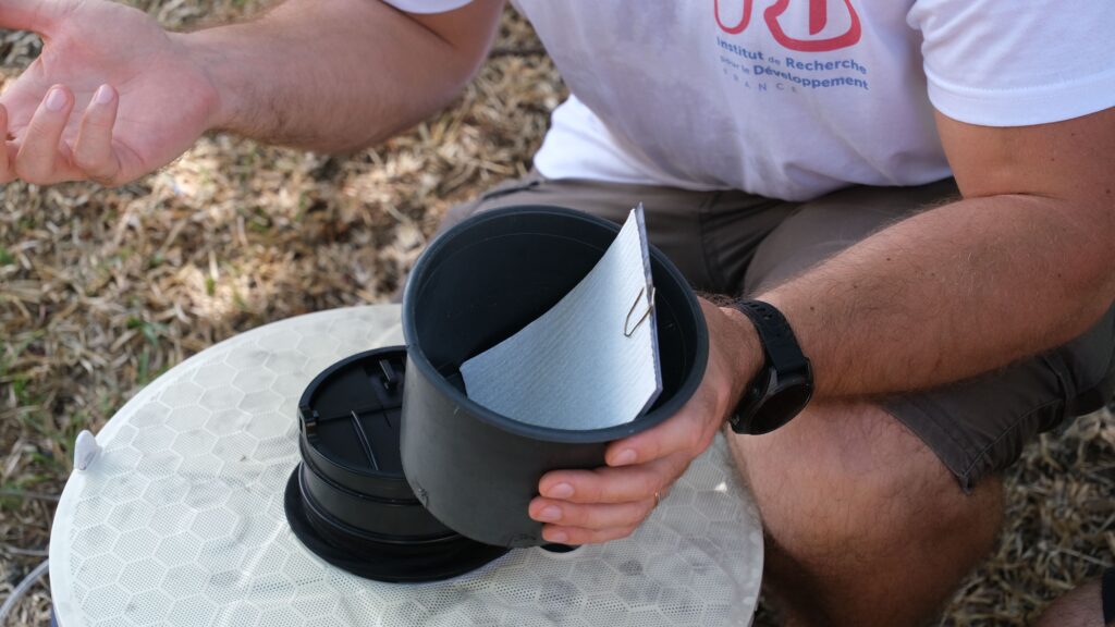 TIS technique de l'insecte stérile Langevin Saint-Joseph moustiques Aedes aegypti albopictus dengue chikungunya