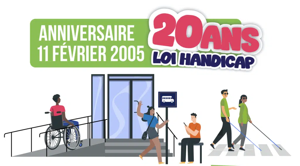 Affiche IRSAM Pétrel Loi Handicap 20 ans