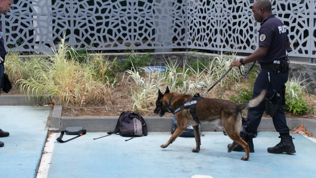 Patrice Latron préfet de la Réunion opération lycée Jean-Hinglo Le Port Eta y protèz a nou. Police chien