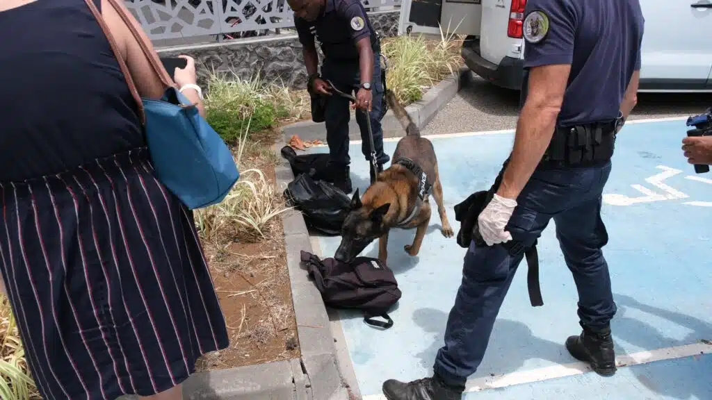 Patrice Latron préfet de la Réunion opération lycée Jean-Hinglo Le Port Eta y protèz a nou. Police chien