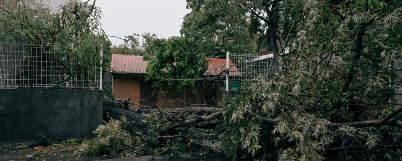Un arbre s'est ecrasé sur une clôture durant le passage du cyclone Garance.