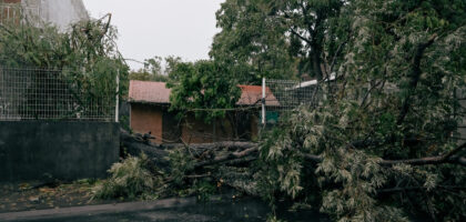 Un arbre s'est ecrasé sur une clôture durant le passage du cyclone Garance.