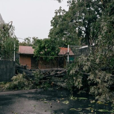 Un arbre s'est ecrasé sur une clôture durant le passage du cyclone Garance.