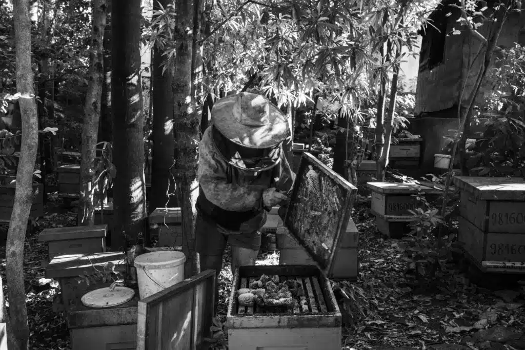 Georget Ognard, apiculteur, debute sa journee dans son jardin ou se trouve ses ruches.