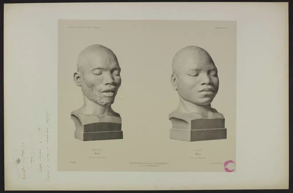 Cette estampe de Leveillé représente les « bustes moulés sur nature » par Dumoutier. Elle portent les mentions de Valentin Makoua Afrique orientale et de Makéra, Makoua, Afrique orientale. Muséum national d’Histoire naturelle, EST VOY 3, pl.21.