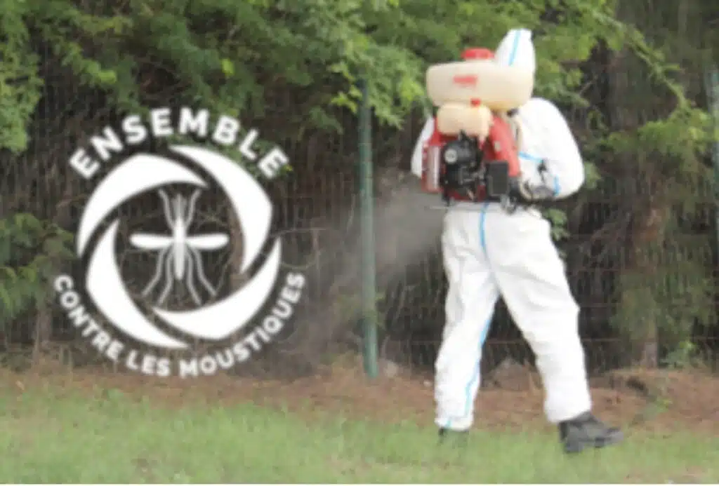 Aedes albopictus chikungunya dengue épidémie moustique tigre