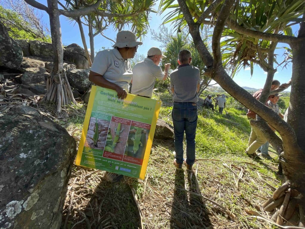 ARB agence régionale de la biodiversité avec Ericka Bareigts et Karine Pothin à Saint-Pierre Bassin 18 sur le site protégé de Terre Rouge où ont été découverts des geckos verts de Manapany © Franck Cellier