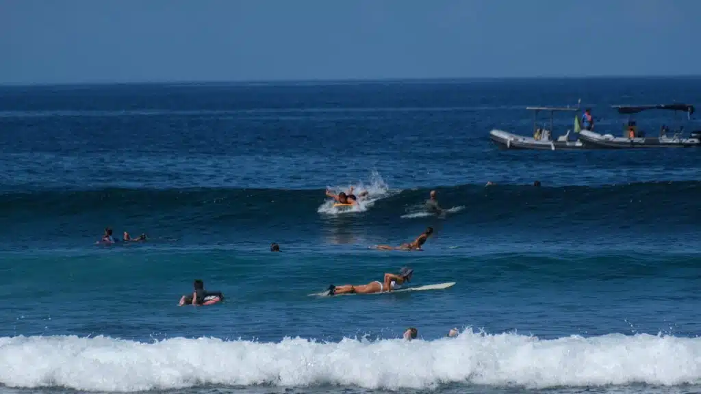 Surf spot de Trois-Bassins vigies requin