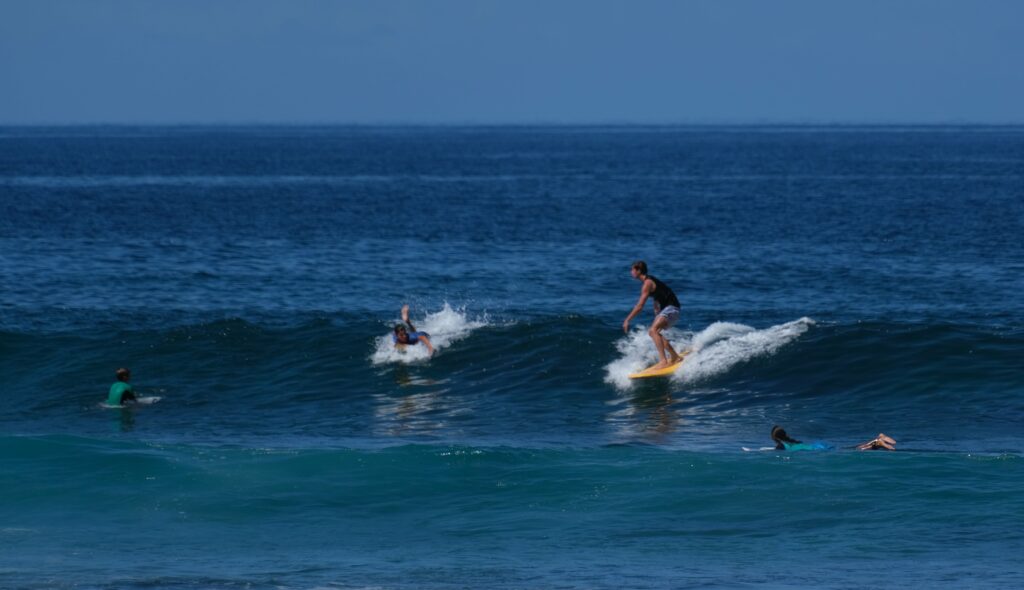 Surf spot de Trois-Bassins vigies requin