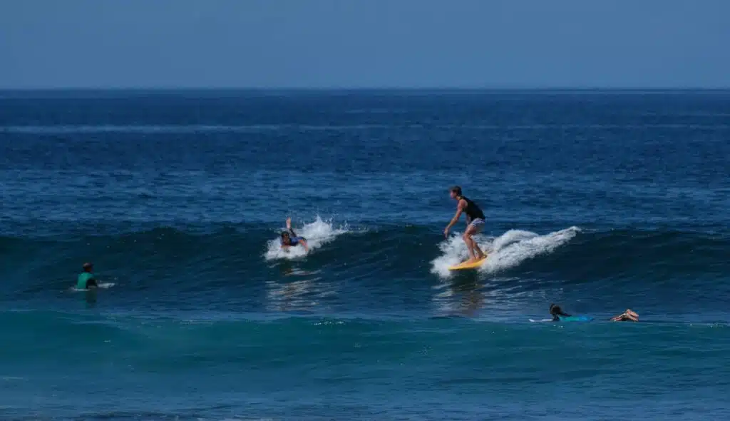 Surf spot de Trois-Bassins vigies requin