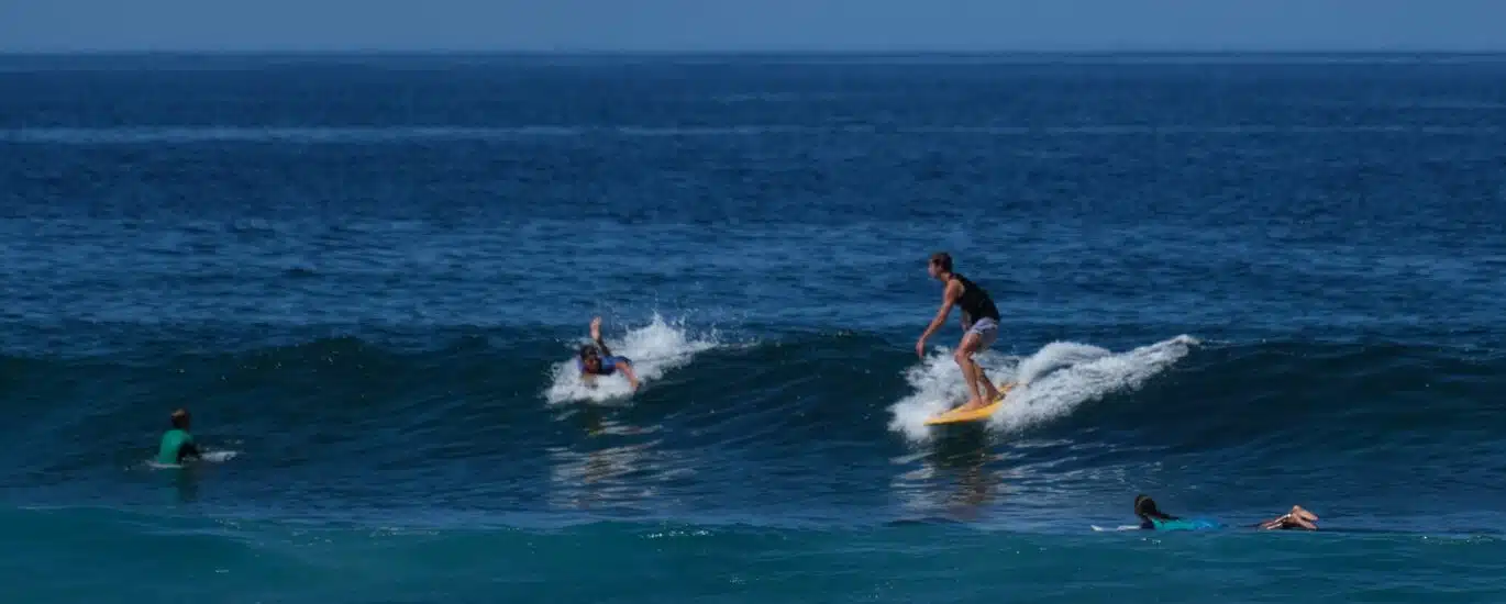 Surf spot de Trois-Bassins vigies requin