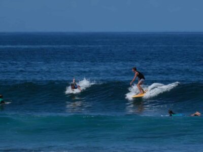 Surf spot de Trois-Bassins vigies requin
