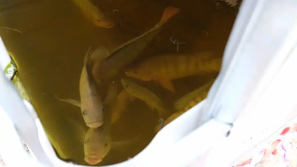 tiers-lieu La Raffinerie à l'Ermitage