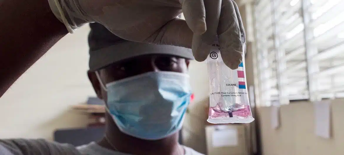 ONU Photo/Victoria Hazou La marijuana et la cocaïne saisies sont analysées et inventoriées avant d'être transférées pour destruction.