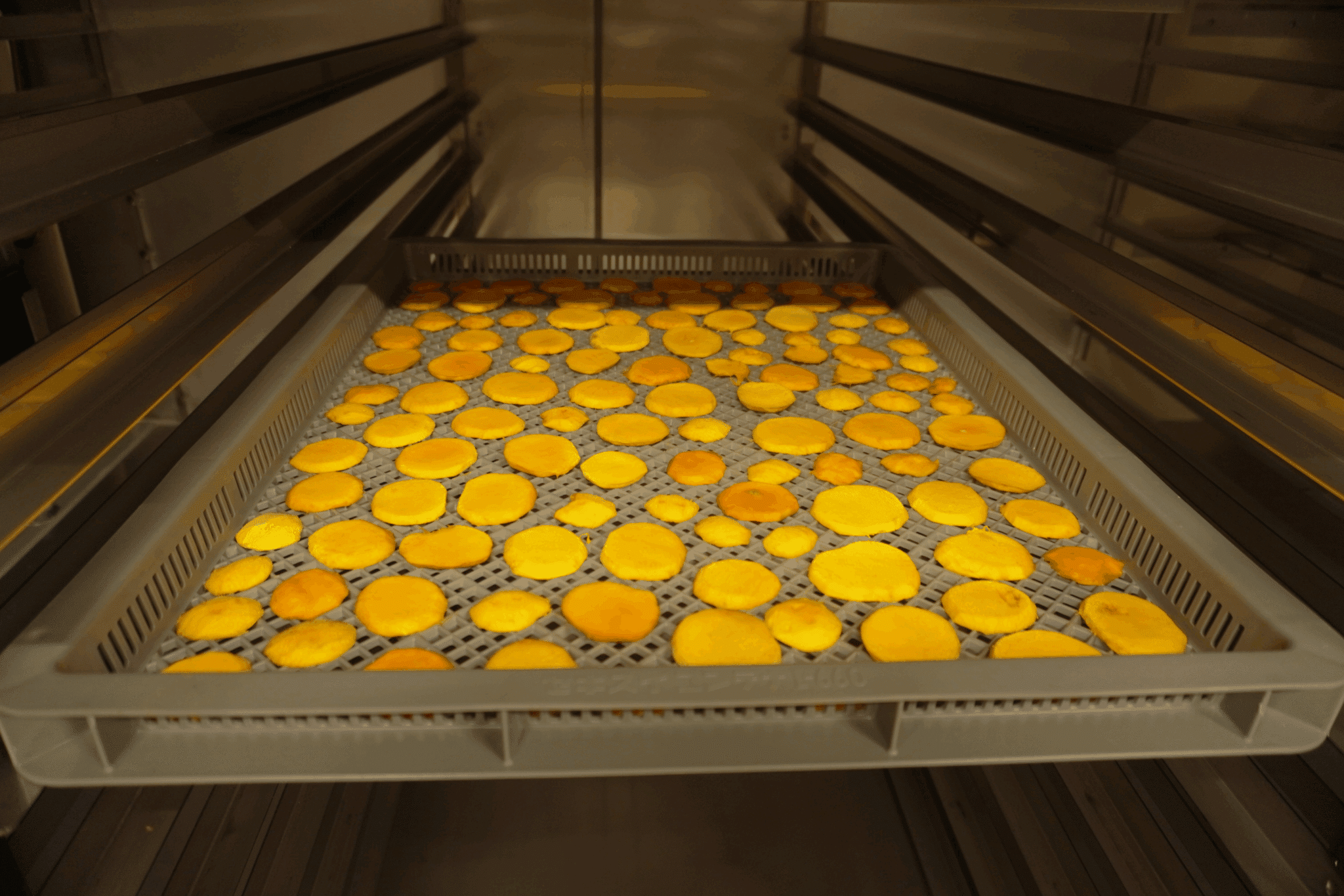 Visite des locaux de Siva Industrie à la Technopole de Saint-Denis, en février 2025.