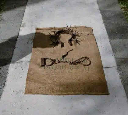 Entraves de cou et de pieds utilisées durant la période de l'esclavage sur l'île de La Réunion.