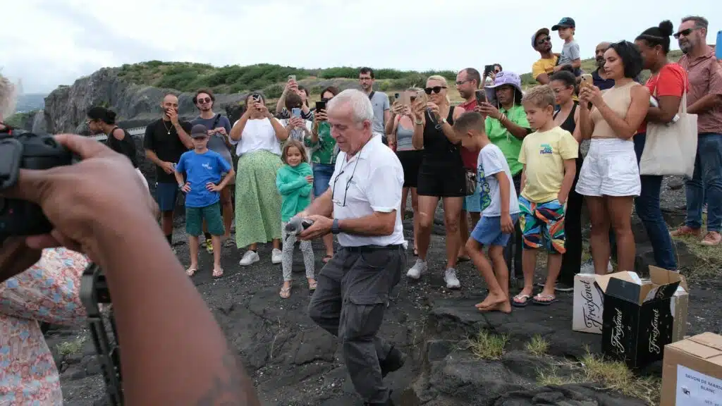 Lâcher de pétrels au cap Lahoussaye Christian Léger président de la Séor