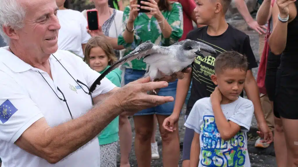 Lâcher de pétrels au cap Lahoussaye Christian Léger président de la Séor