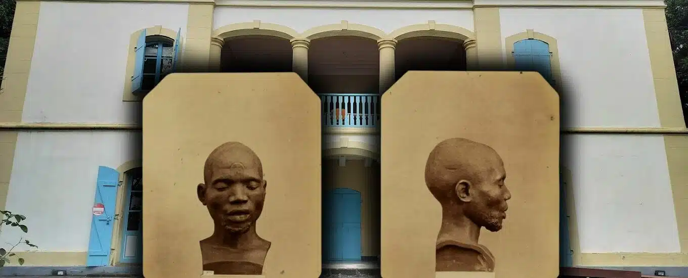 Le musée de Villèle souhaite récupérer les bustes d'esclaves du MNHN.