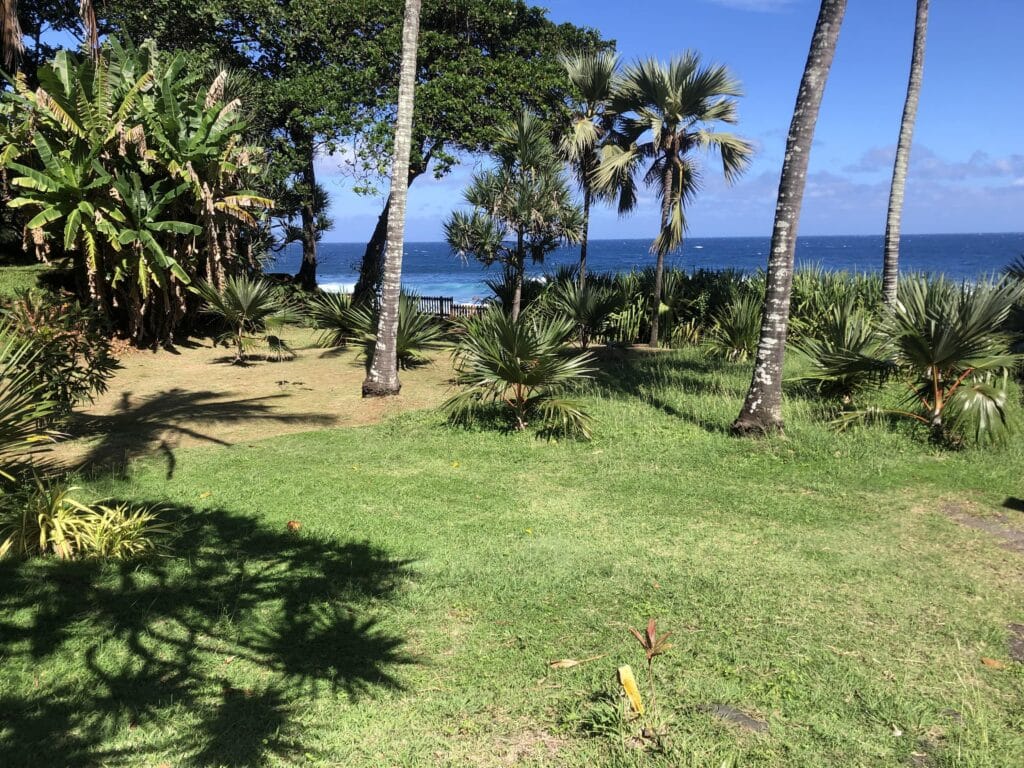 Hugues Thouet et Tiphaine jardins de Manapany bassin de baignade
