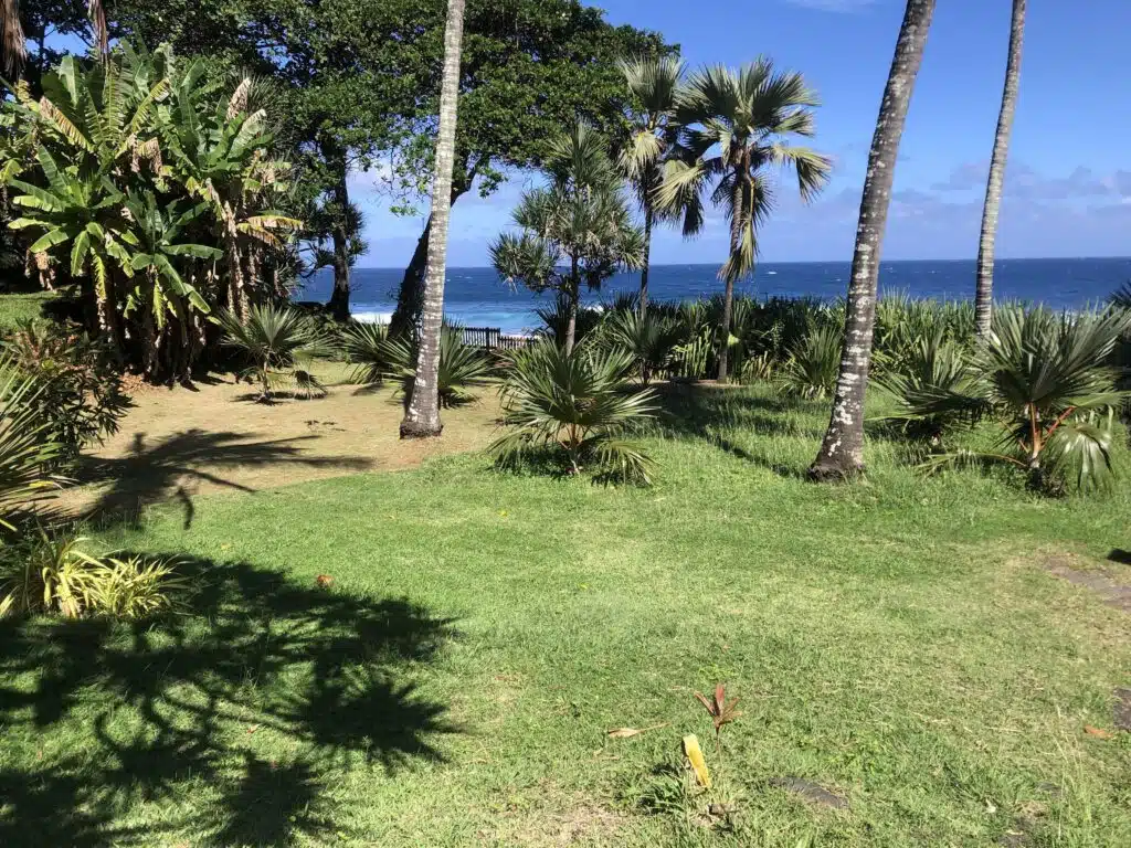 Hugues Thouet et Tiphaine jardins de Manapany bassin de baignade