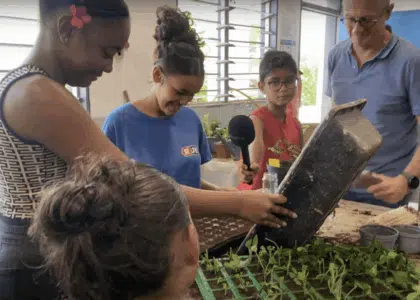 Segpa collège de la Pointe des Châteaux