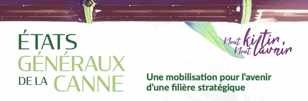 états généraux de la canne Région Réunion