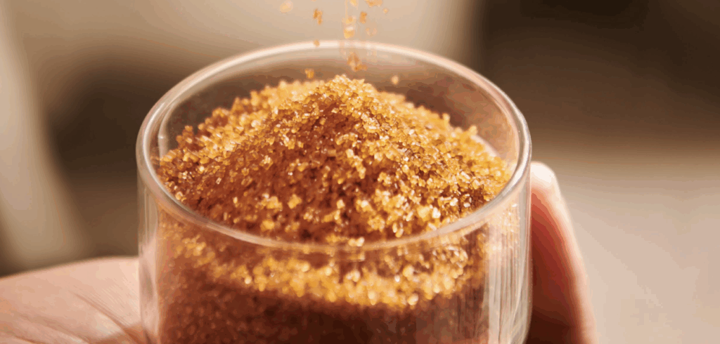 états généraux de la canne Région Réunion