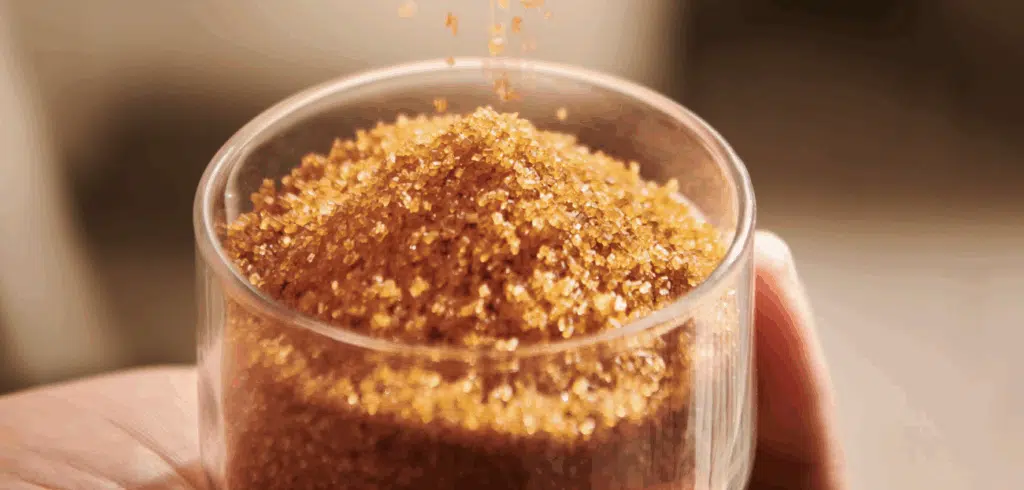 états généraux de la canne Région Réunion