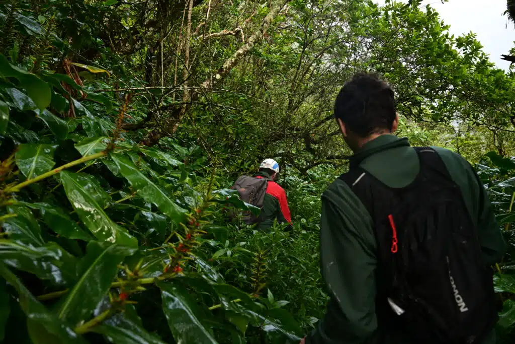 Bastien Michelon, garde forestier et son collègue Anthony Roulenq, chargé de projet risques naturels à l'ONF sur le sentier Augustave pour aller constater l'avancée des travaux. © Olivier Ceccaldi