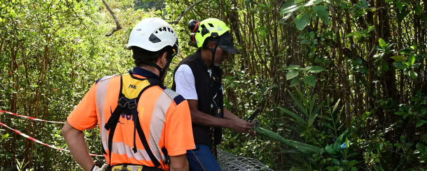 Des ouvriers travaillant sur la réparation de l'échelle du sentier Augustave.