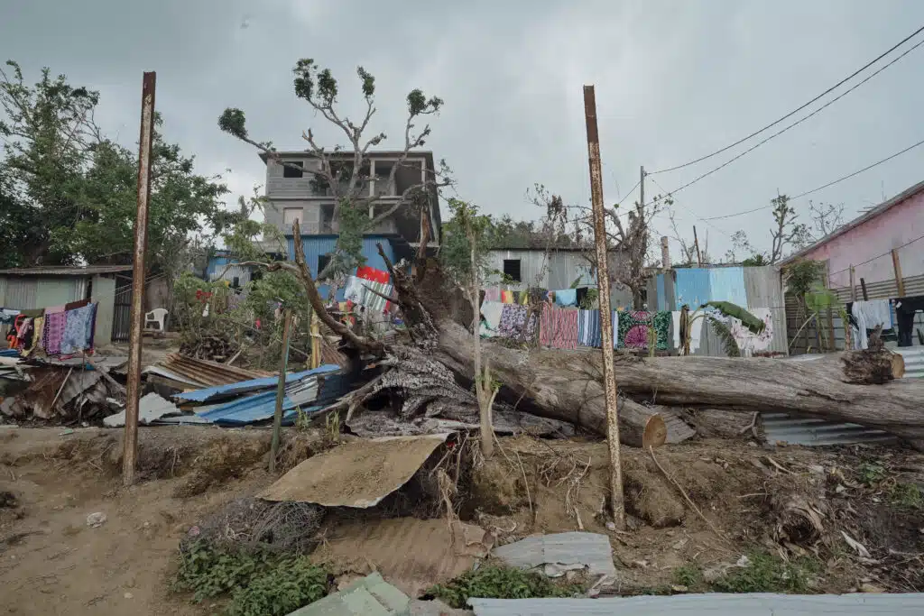 Arbre tombé sur une maison en tôle dans le quartier de Labattoir sur Petite-terre.
