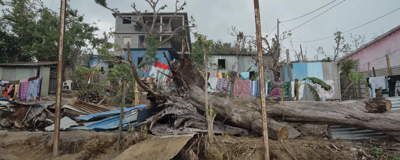 Arbre tombé sur une maison en tôle dans le quartier de Labattoir sur Petite-terre.