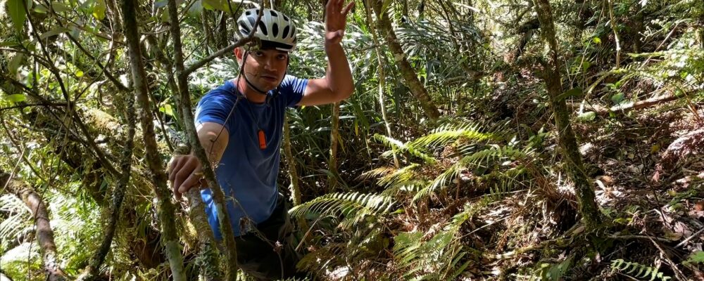 Expédition botanique et maronage dans les hauts de Salazie avec Rémi-Paul Grondin