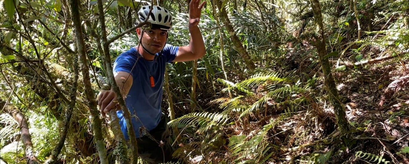 Expédition botanique et maronage dans les hauts de Salazie avec Rémi-Paul Grondin