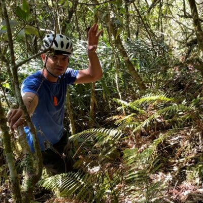 Expédition botanique et maronage dans les hauts de Salazie avec Rémi-Paul Grondin