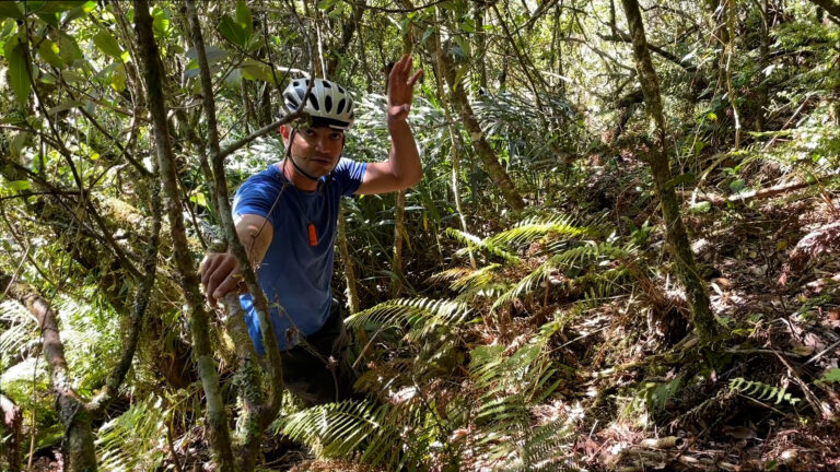 Expédition botanique et maronage dans les hauts de Salazie avec Rémi-Paul Grondin
